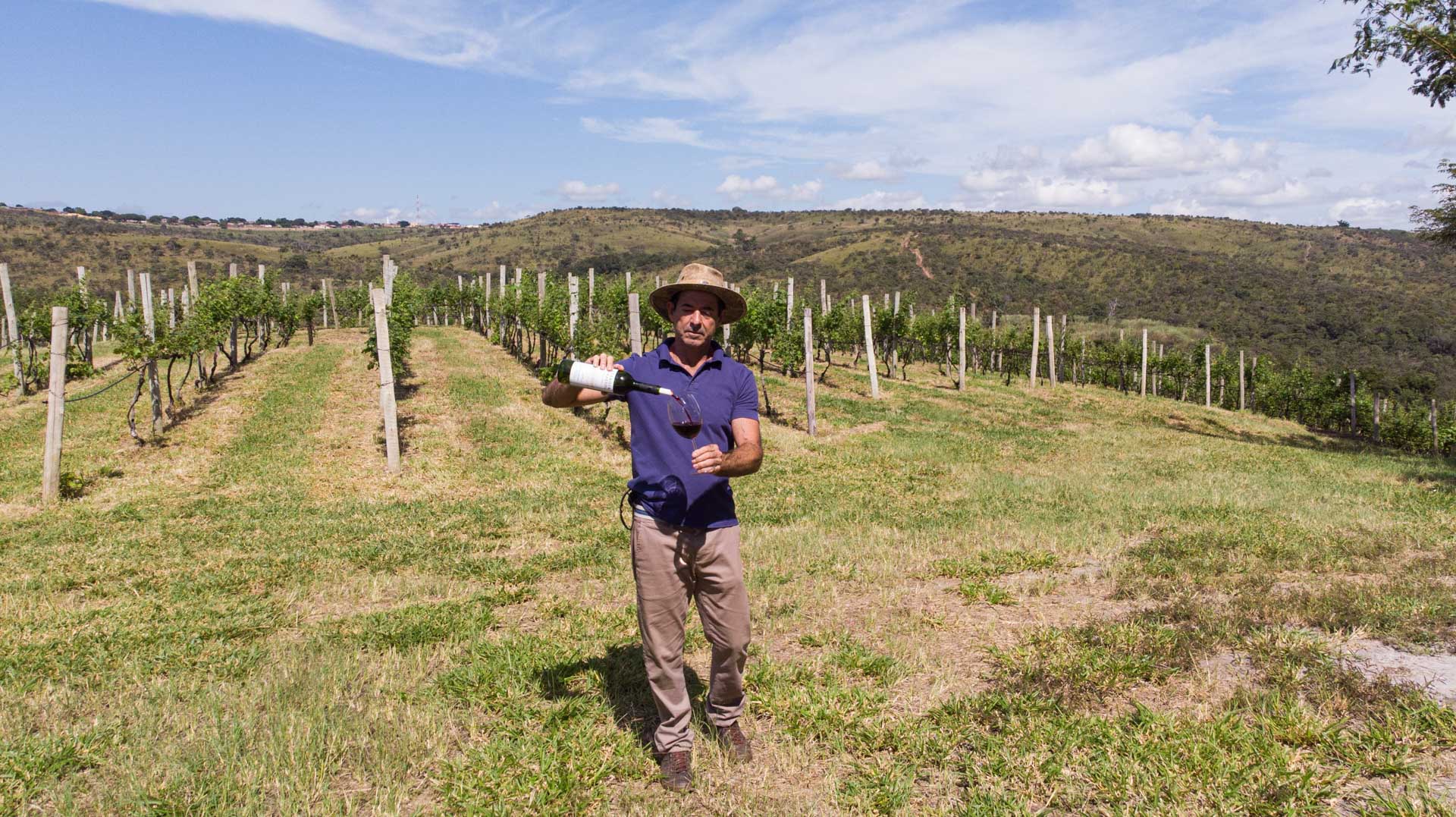 Queijos, vinhos e pamonha