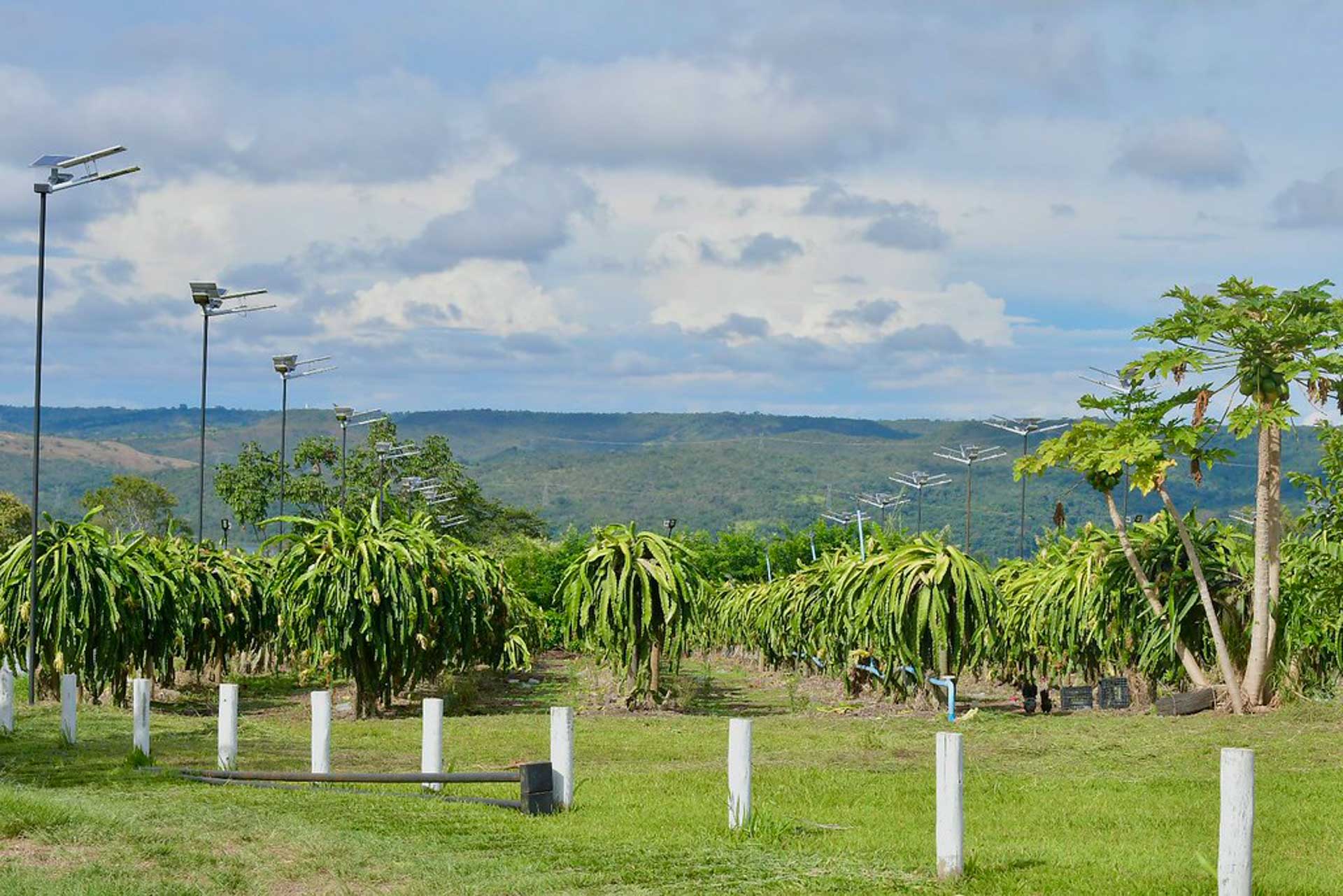Natureza e contemplação